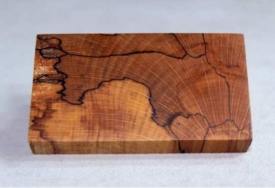 Stabilized Spalted Wood Mod Block